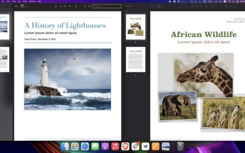 如何在 macOS Monterey 中使用预览合并 PDF