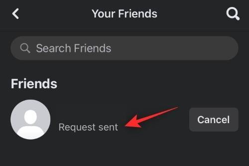 send-friend-requests-facebook-ios-8