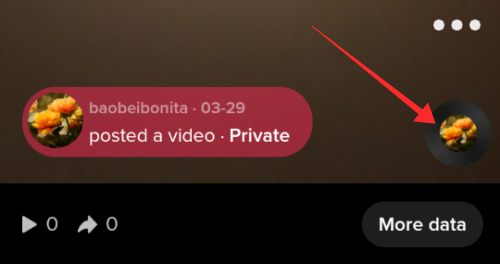 tiktok-private-video-video-2
