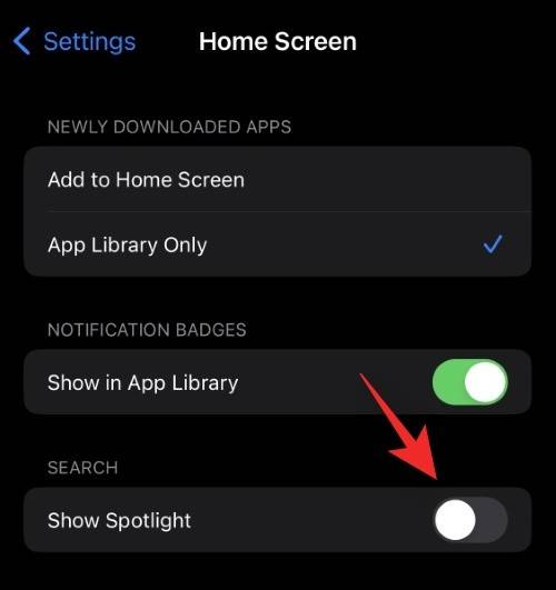 ios-16-spotlight-search-shortcut-home-screen-2