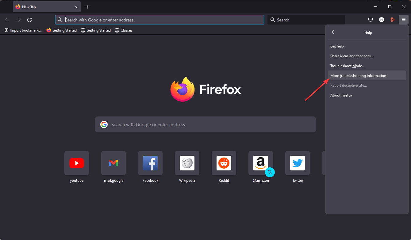 clicking-more-troubleshooting-information-firefox