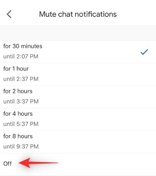 google-chat-missing-pop-up-notifications-fix-ios-8