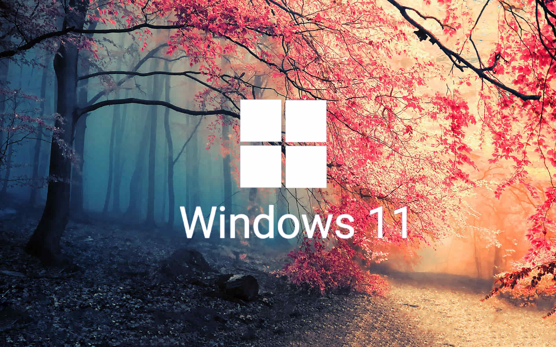 windows-11-kb