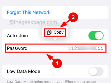 Copy-Password_11zon