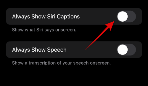 how-to-set-up-and-use-siri-on-iphone-14-12