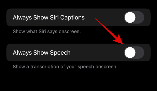 how-to-set-up-and-use-siri-on-iphone-14-13