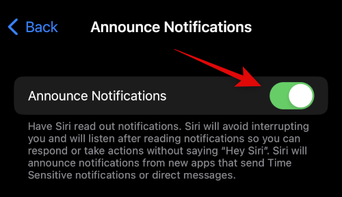 how-to-set-up-and-use-siri-on-iphone-14-17
