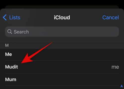 how-to-set-up-and-use-siri-on-iphone-14-24