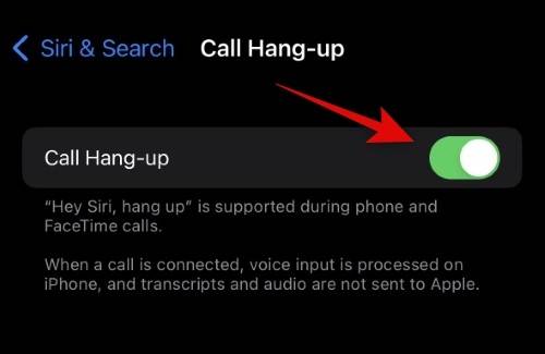 how-to-set-up-and-use-siri-on-iphone-14-new-2