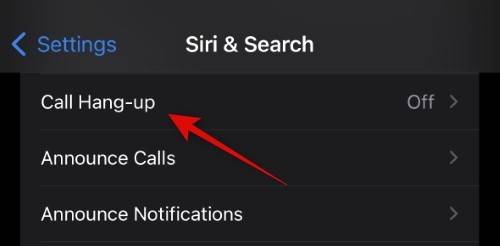 how-to-set-up-and-use-siri-on-iphone-14-new