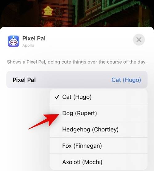how-to-get-pixel-pals-14-pro-14