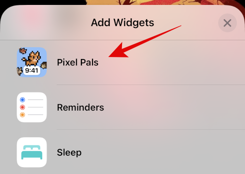 how-to-get-pixel-pals-post-update-12