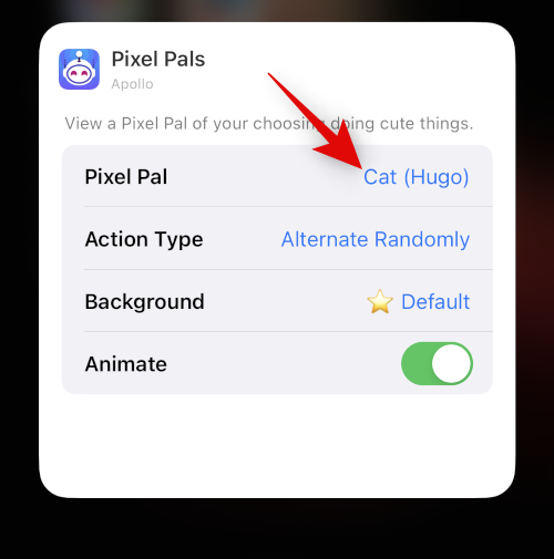 how-to-get-pixel-pals-post-update-41