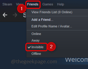 invisible-1
