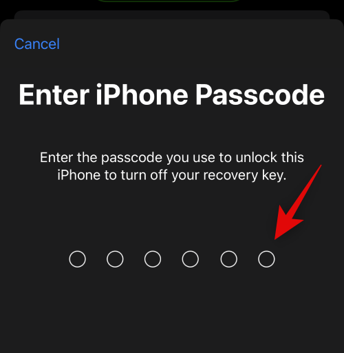 how-to-enable-and-use-advanced-data-protection-iphone-27