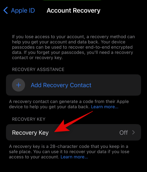 how-to-enable-and-use-advanced-data-protection-iphone-5