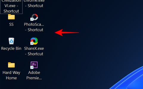 如何在 Windows 11 上缩小图标