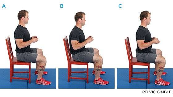 how-to-sit-properly-pelvic-gimble