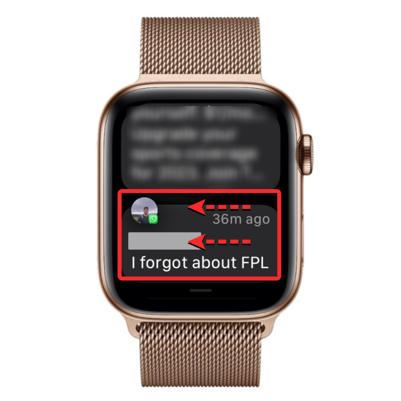 turn-off-apple-watch-notifications-13