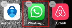 Whatsapp-wiggle-min