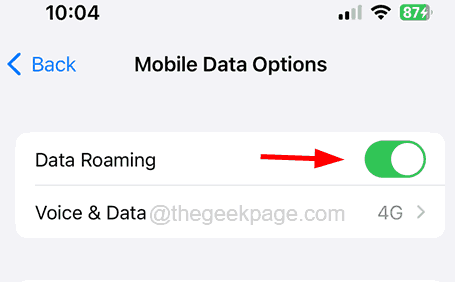 enable-data-roaming_11zon-2