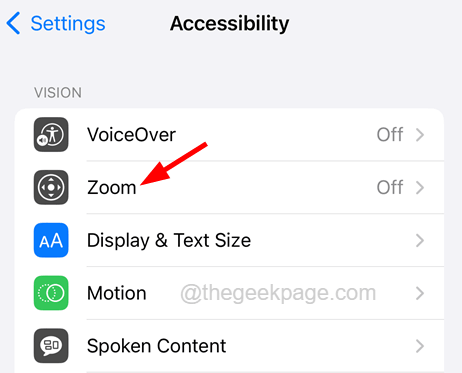 zoom-accessibility_11zon