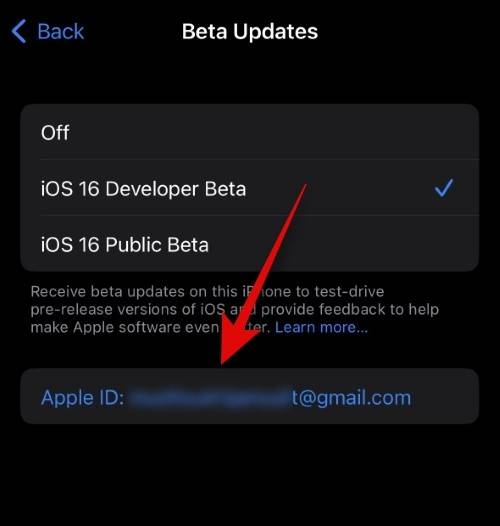 how-to-use-a-different-apple-id-for-beta-updates-10