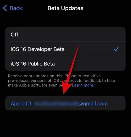 how-to-use-a-different-apple-id-for-beta-updates-11