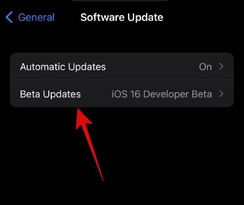 how-to-use-a-different-apple-id-for-beta-updates-3