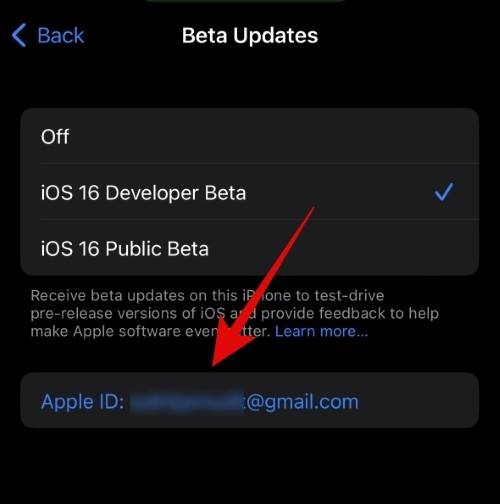 how-to-use-a-different-apple-id-for-beta-updates-4