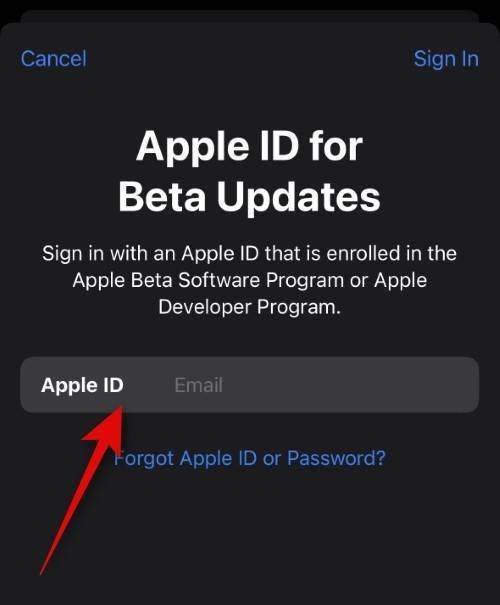 how-to-use-a-different-apple-id-for-beta-updates-6