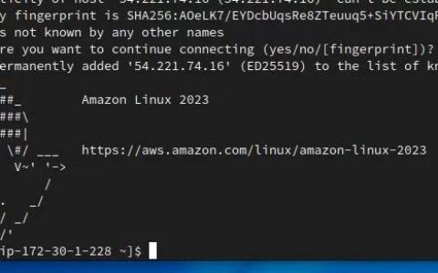 Amazon Linux 2023 运行良好，EC2 性能超过 Amazon Linux 2