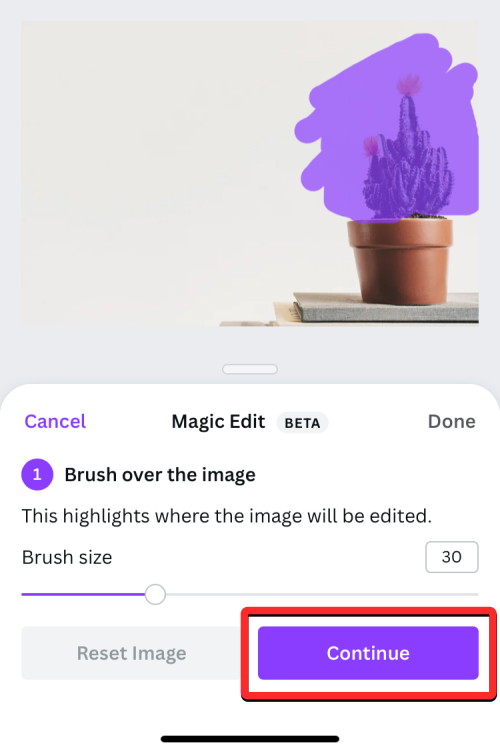 magic-edit-on-canva-app-11-a