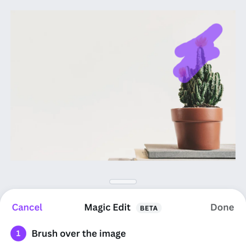 magic-edit-on-canva-app-9-a