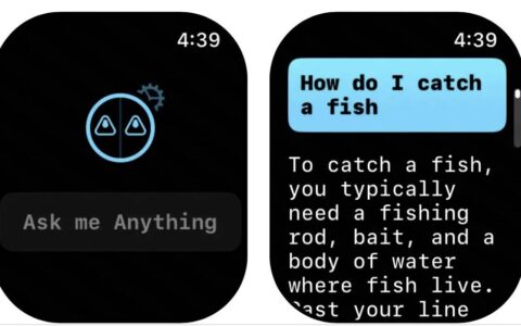 Apple Watch 上用ChatGPT 的App 被苹果要求改名Petey 新版全新登场