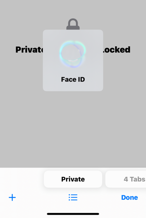 face-id-for-private-browsing-12-a