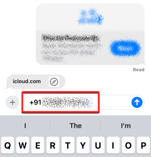insert-contacts-and-passwords-on-ios-17-messages-10-a
