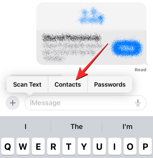 insert-contacts-and-passwords-on-ios-17-messages-6-a