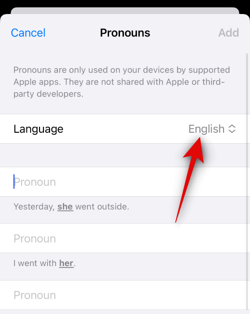 ios-17-add-pronouns-for-a-contact-4