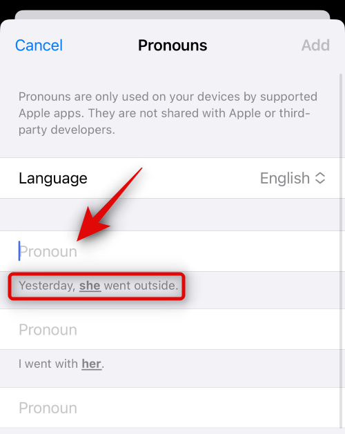ios-17-add-pronouns-for-a-contact-5