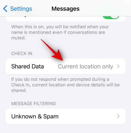 ios-17-how-to-use-check-ins-25