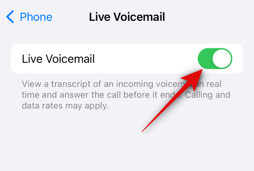 ios-17-live-voicemail-3