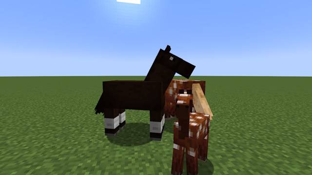 Breed-Horses-in-Minecraft-4