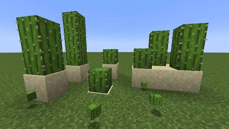 Get-Cactus-Minecraft-1