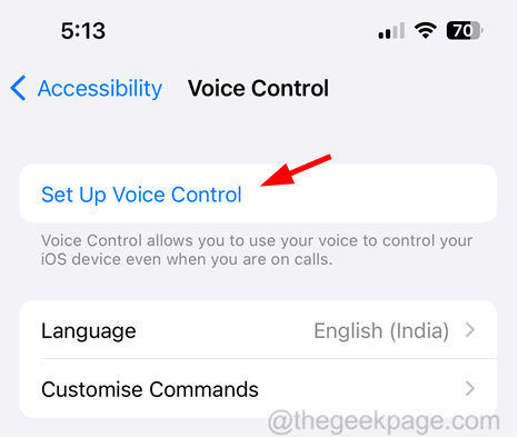 Set-Up-Voice-Control_11zon