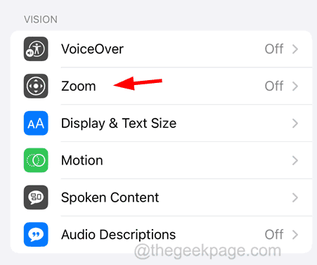 Zoom-option_11zon