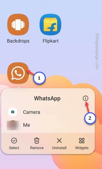 app-info-whatsapp-min