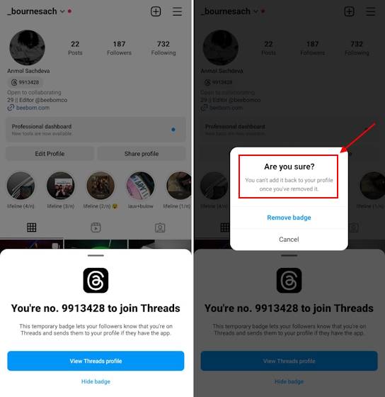 how-to-remove-threads-from-instagram-bio