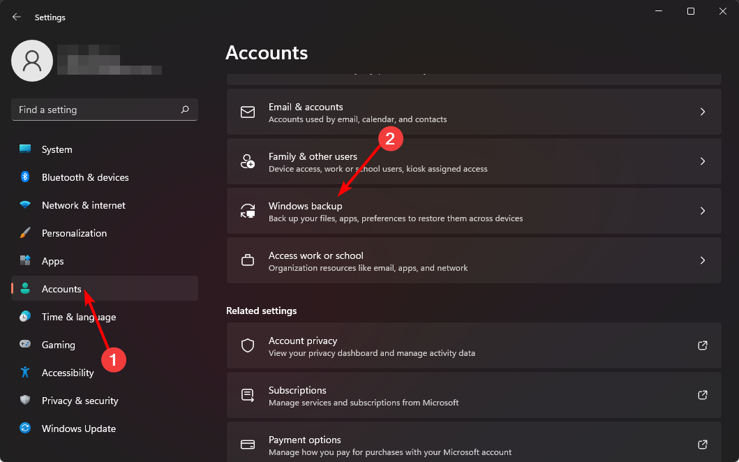 Accounts-Windows-backup