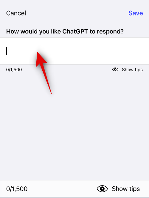 chatgpt-custom-instructions-ios-app-11